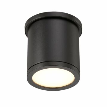 Tube 1-Light LED Flush Mount Ceiling Light in Black