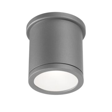 Tube 1-Light LED Flush Mount Ceiling Light in Graphite