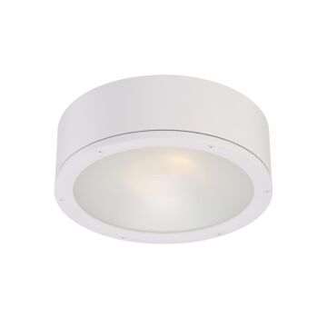 Tube 1-Light LED Flush Mount Ceiling Light in White