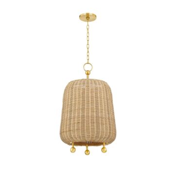 Elena One Light Pendant in Aged Brass by Mitzi