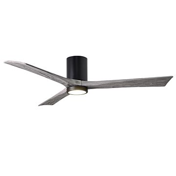 Irene 1-Light 60" Ceiling Fan in Matte Black