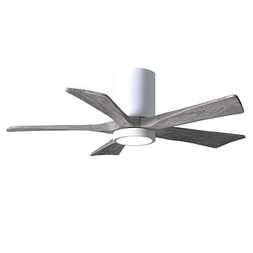Irene 1-Light 42" Ceiling Fan in Gloss White