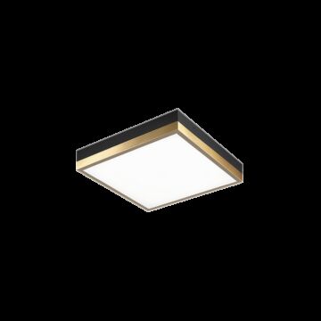 Tux One Light Flush Mount in Black   Aged Gold Brass by Matteo Lighting