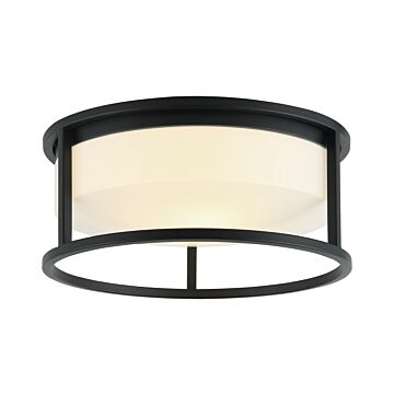 Framerton Two Light Ceiling Mount in Matte Black by Matteo Lighting