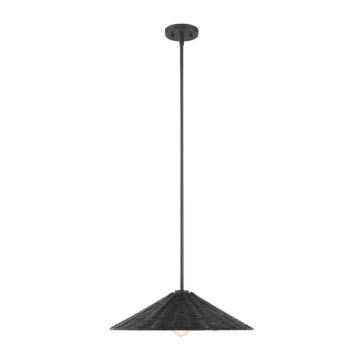  One Light Pendant in Matte Black by Meridian