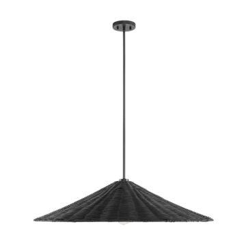  One Light Pendant in Matte Black by Meridian