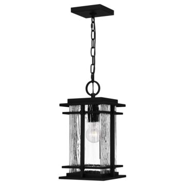 McAlister One Light Mini Pendant in Earth Black by Quoizel