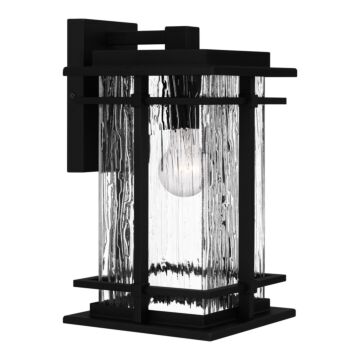 McAlister One Light Outdoor Wall Mount in Earth Black by Quoizel