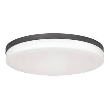 Oscar LED Flush Mount in Black by AFX Lighting
