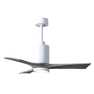 Patricia 1-Light 42" Ceiling Fan in Gloss White