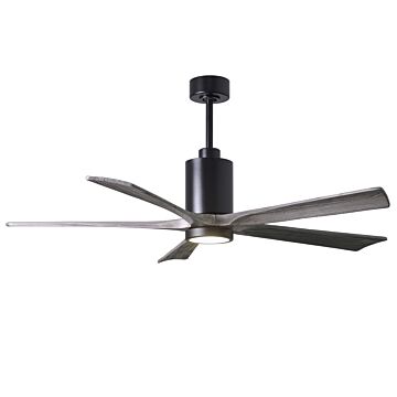 Patricia 1-Light 60" Ceiling Fan in Matte Black