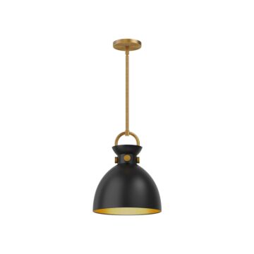 Waldo One Light Pendant in Aged Gold Matte Black by Alora