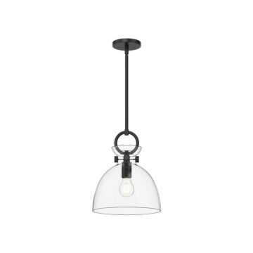 Waldo One Light Pendant in Matte Black Clear Glass by Alora