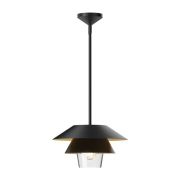 Tetsu One Light Pendant in Matte Black Clear Glass by Alora