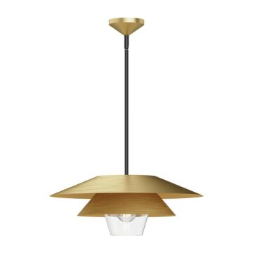 Tetsu One Light Pendant in Brushed Gold Clear Glass by Alora