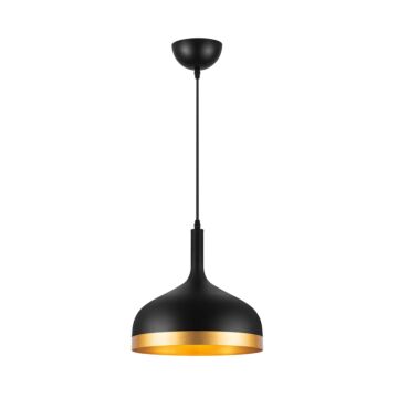 Dash Collection 1-Light Pendant in Black and Gold