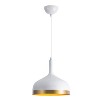 Dash Collection 1-Light Pendant in White and Gold