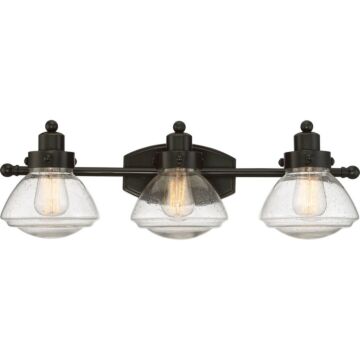 Quoizel Scholar 3 Light Bathroom Vanity Light in Palladian Bronze