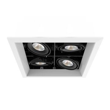 Eurofase Te164Bled Ceiling Light