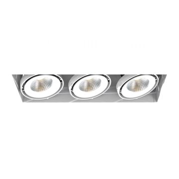 Eurofase Te223Led 3-Light Ceiling Light in Metal