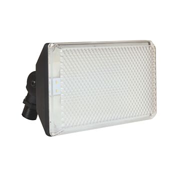 Led Flood LED Outdoor Flood in Black by AFX Lighting